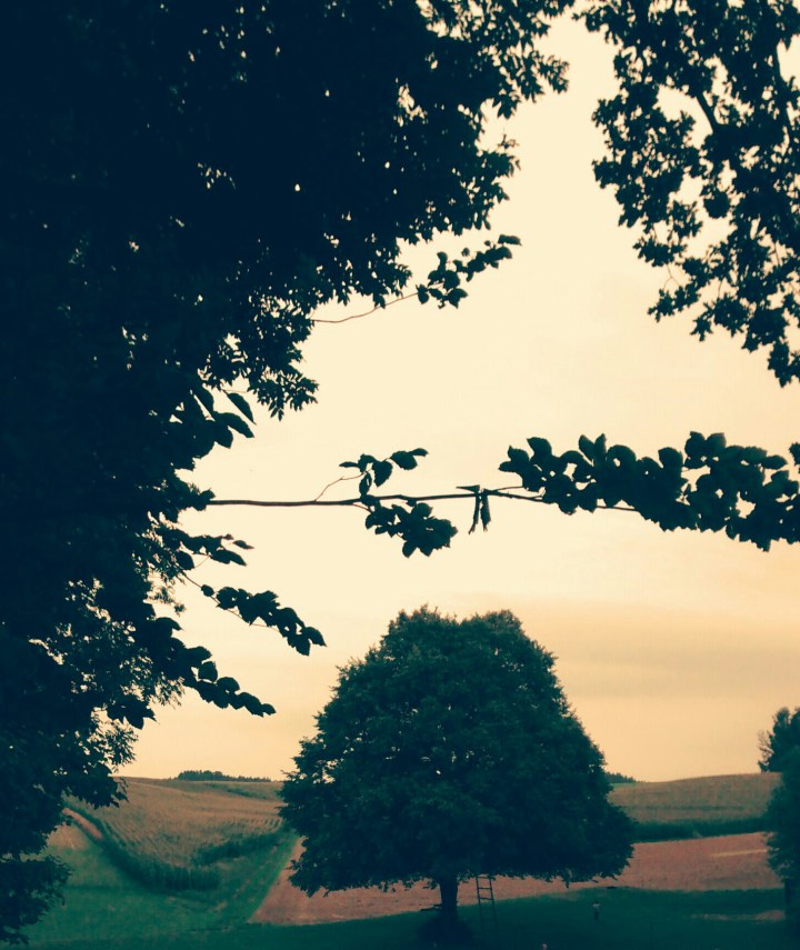 Die Würfel sind gefallen oder: Ein Stück oberösterreichische Geschichte