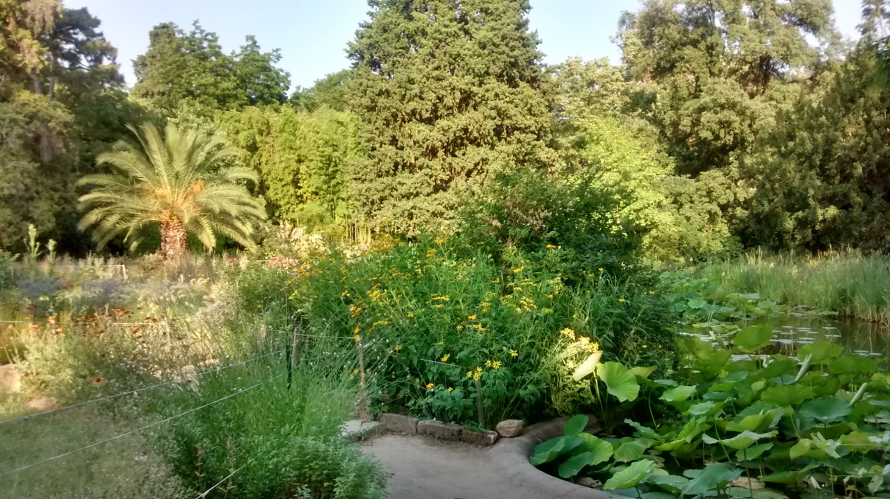 Botanischer Garten in Montpellier.jpg