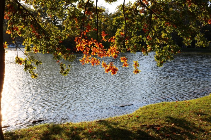 Herbstspaziergang im Schlosspark Laxenburg