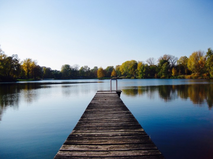 Herbstspaziergang im Tullner Aubad