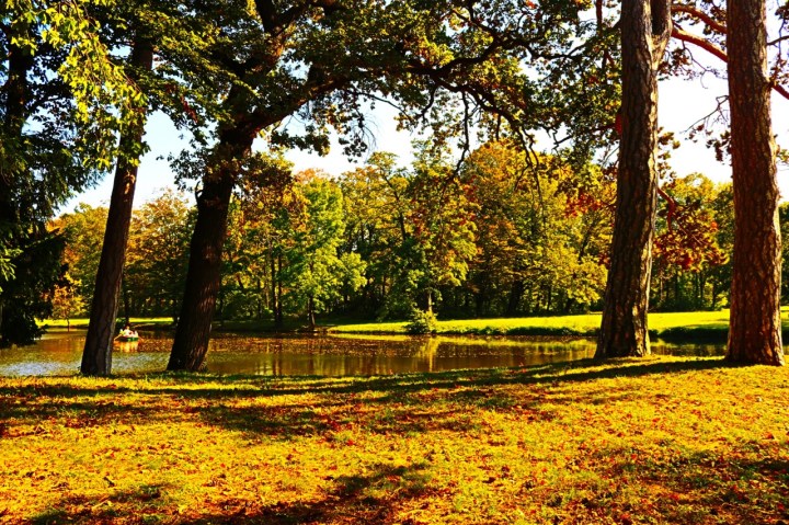 Herbstspaziergang in Laxenburg