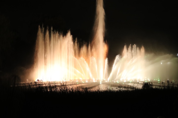Wasserlichtkonzert im Park Planten un Blomen_Hamburg