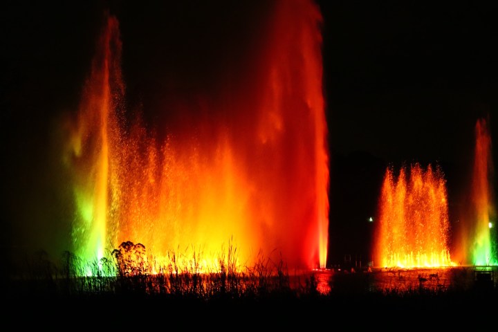 Lichtspiele Planten un Blomen in Hamburg