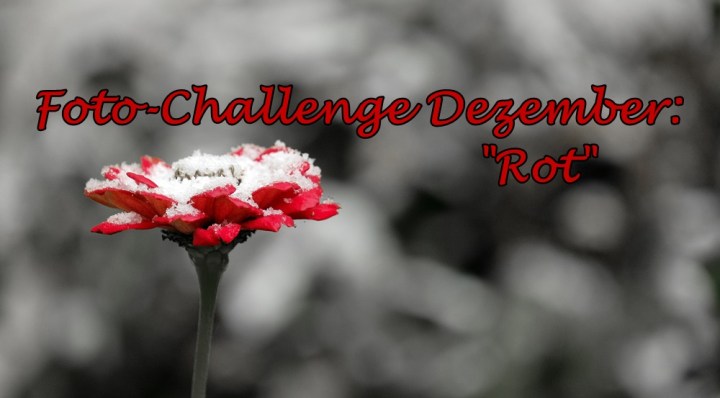 In roten Bildern um die&nbsp;Welt