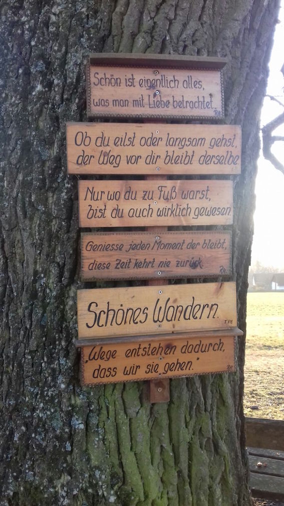 Sprüche am Baumstamm