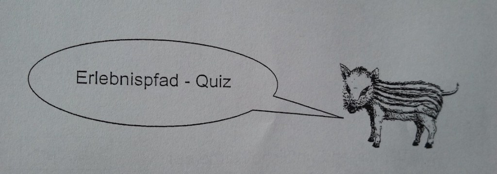 Rätsel-Ralley im Lainzer Tiergarten 