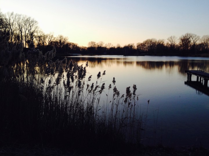 Das Tullner Aubad im Winter
