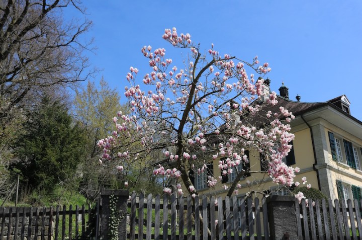 Spaziergang durch Lenzburg