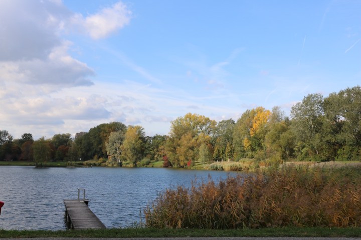 Tullner Aubad im Herbst