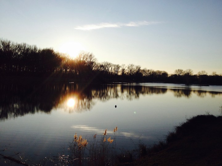 Tullner Aubad im Winter