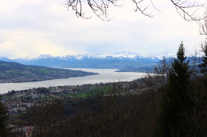 Ausblick vom Uetliberg Zürich.jpg