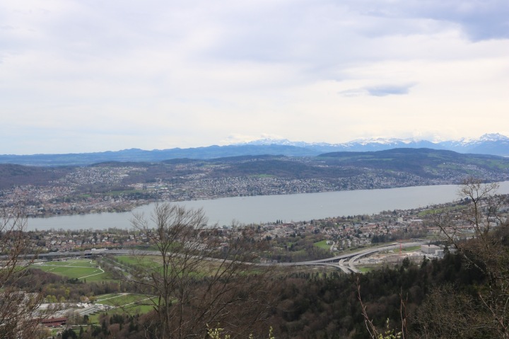 Blick auf den Zürichsee vom Uetliberg aus