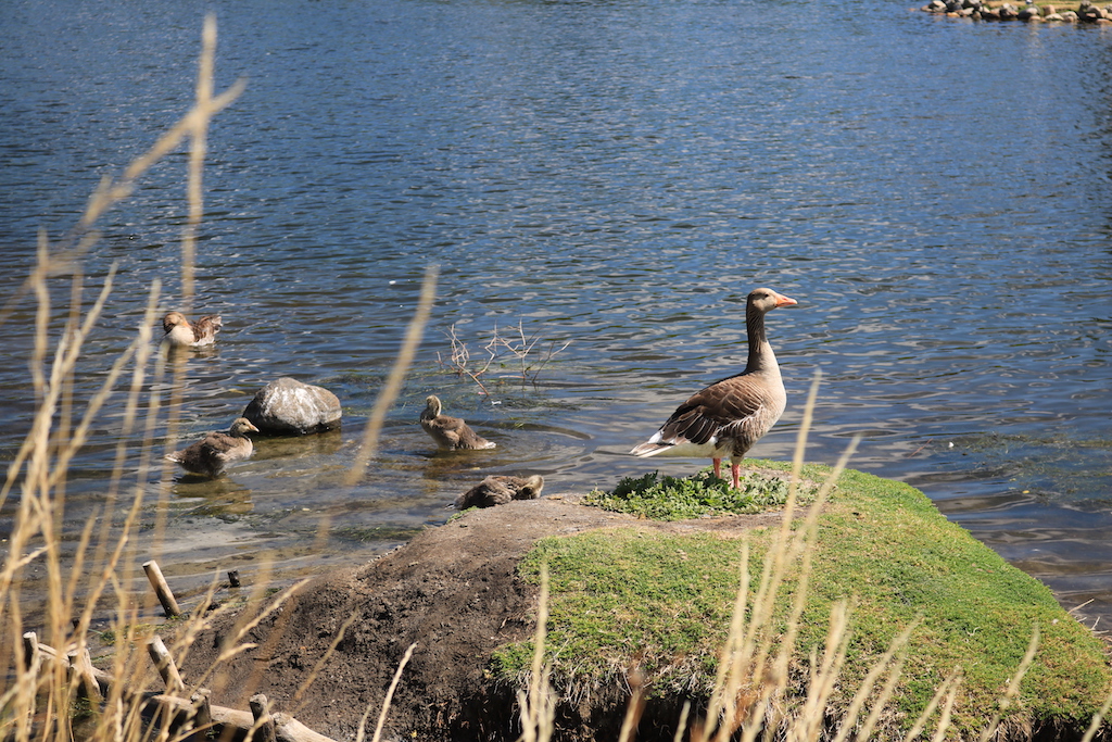 Kopenhagen Stadtteil Christianshavn