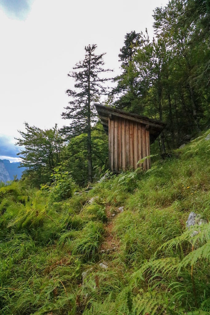 Wanderung zur Sarsteinhütte_Goiseer Aussicht