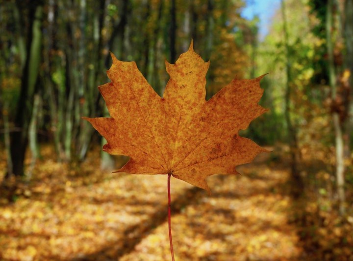 Leiser Berge Herbstwanderung