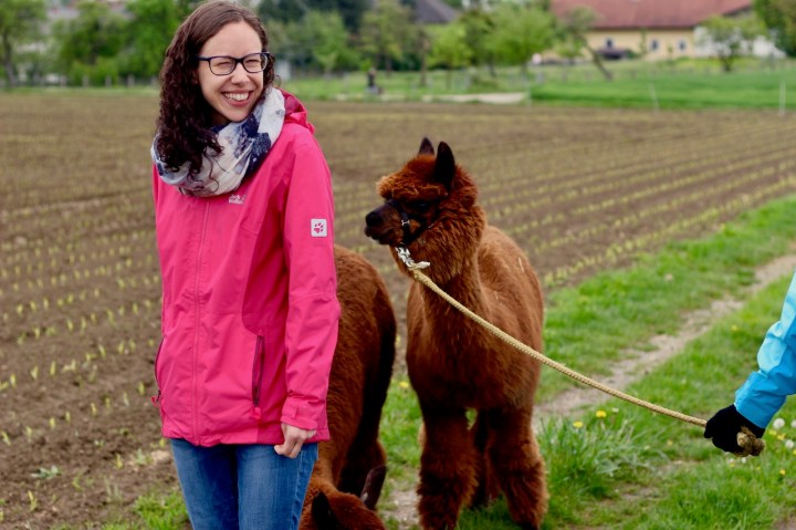 Alpakawanderung_Fun with alpacas