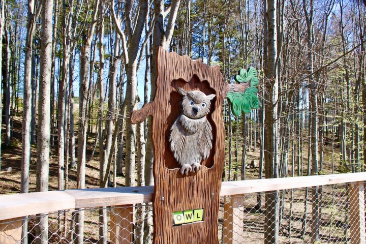 Baumwipfelpfad Salzkammergut Grünberg