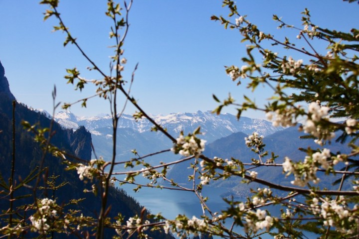 Wanderung zum Laudachsee Grünberg