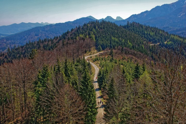 Wanderung zum Laudachsee_Grünberg
