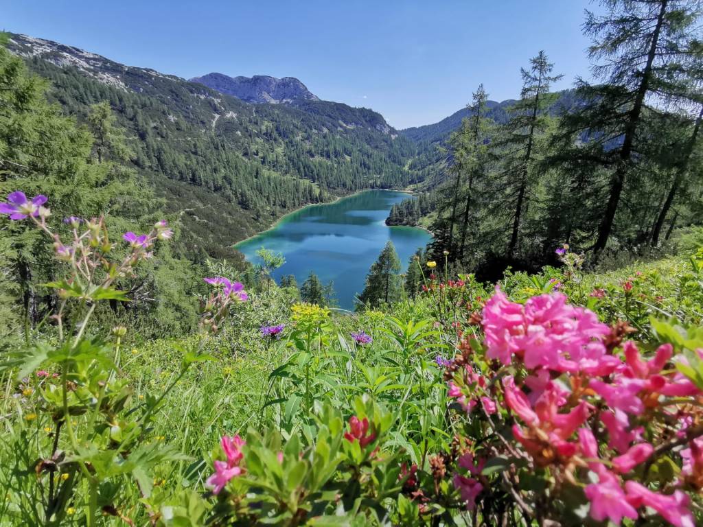 6-Seen-Wanderung auf der Tauplitzalm im Sommer - der Steirersee