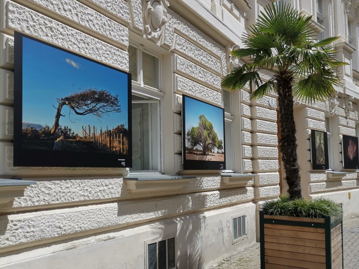 Ein perfekter Tag in Baden bei&nbsp;Wien